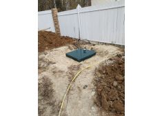 Астра 8 Миди
